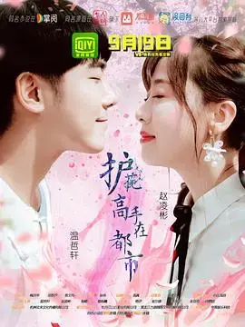 《护花高手在都市》：都市护花，热血与浪漫并存的异能之旅
