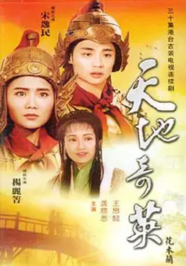 天地奇英之花木兰 海报