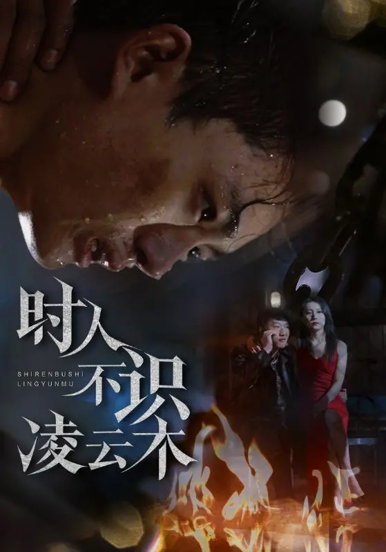 《时人不识凌云木》影评：被低估的匠心之作，深度解读与情感共鸣
