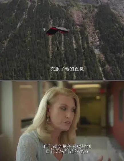 《宠物的秘密生活》第一季：萌宠欢乐多，爆笑治愈每一天！